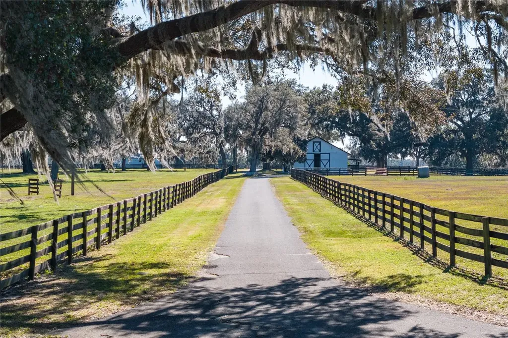 12853 NW 90th Avenue Reddick FL 32686