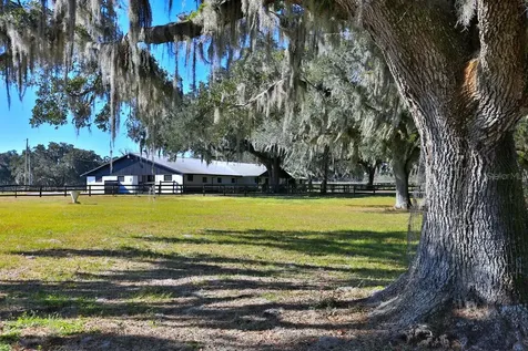 12853 NW 90th Avenue Reddick FL 32686