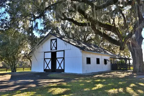 12853 NW 90th Avenue Reddick FL 32686