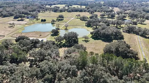 12853 NW 90th Avenue Reddick FL 32686
