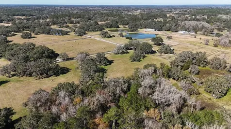 12853 NW 90th Avenue Reddick FL 32686