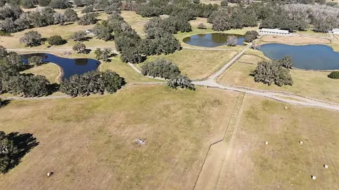 12853 NW 90th Avenue Reddick FL 32686