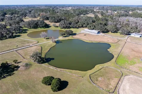 12853 NW 90th Avenue Reddick FL 32686