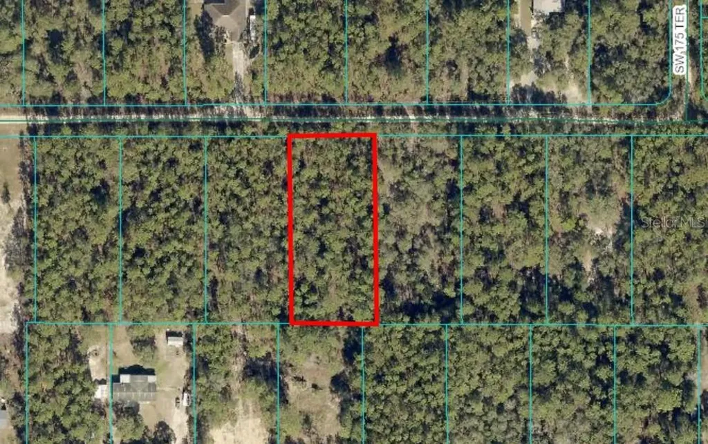Tbd Lot 13 SW 39th Street Dunnellon FL 34432