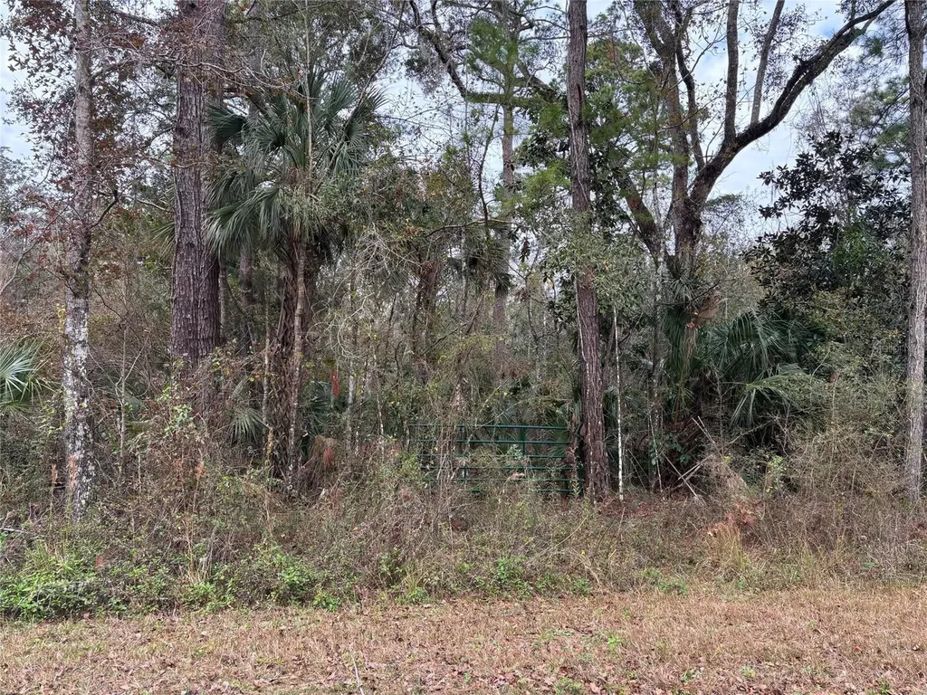 Lot 3 Carolina Dove Road Weeki Wachee FL 34614
