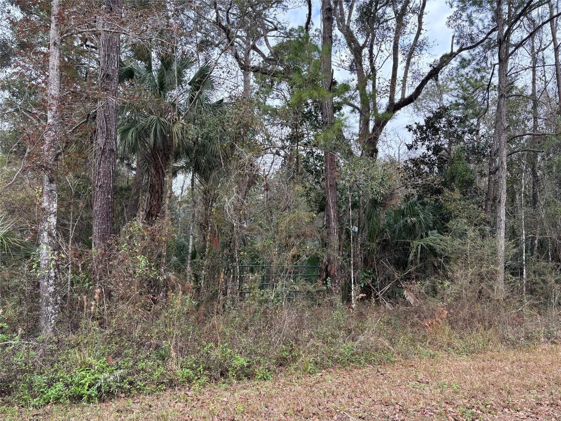 Lot 3 Carolina Dove Road Weeki Wachee FL 34614
