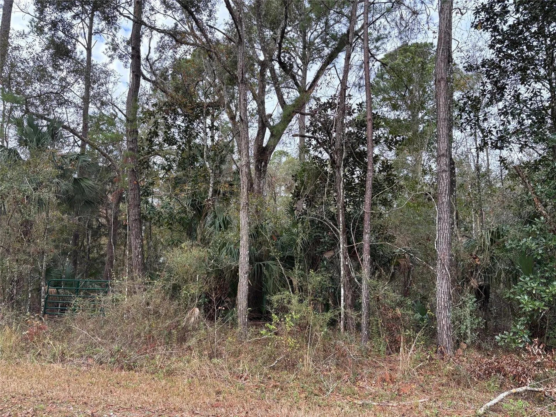 Lot 3 Carolina Dove Road Weeki Wachee FL 34614