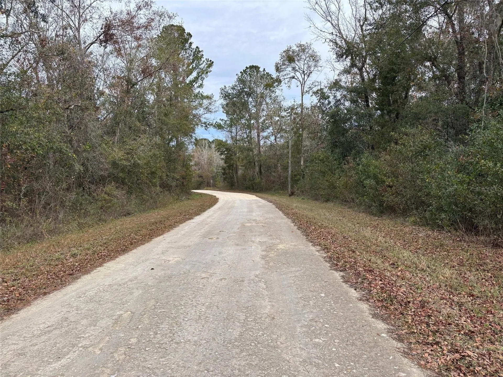 Lot 3 Carolina Dove Road Weeki Wachee FL 34614
