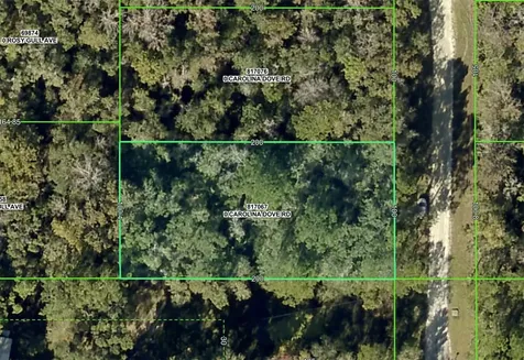 Lot 3 Carolina Dove Road Weeki Wachee FL 34614