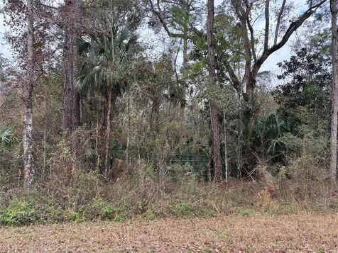 Lot 3 Carolina Dove Road Weeki Wachee FL 34614