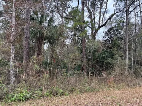 Lot 3 Carolina Dove Road Weeki Wachee FL 34614
