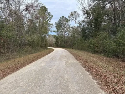 Lot 3 Carolina Dove Road Weeki Wachee FL 34614