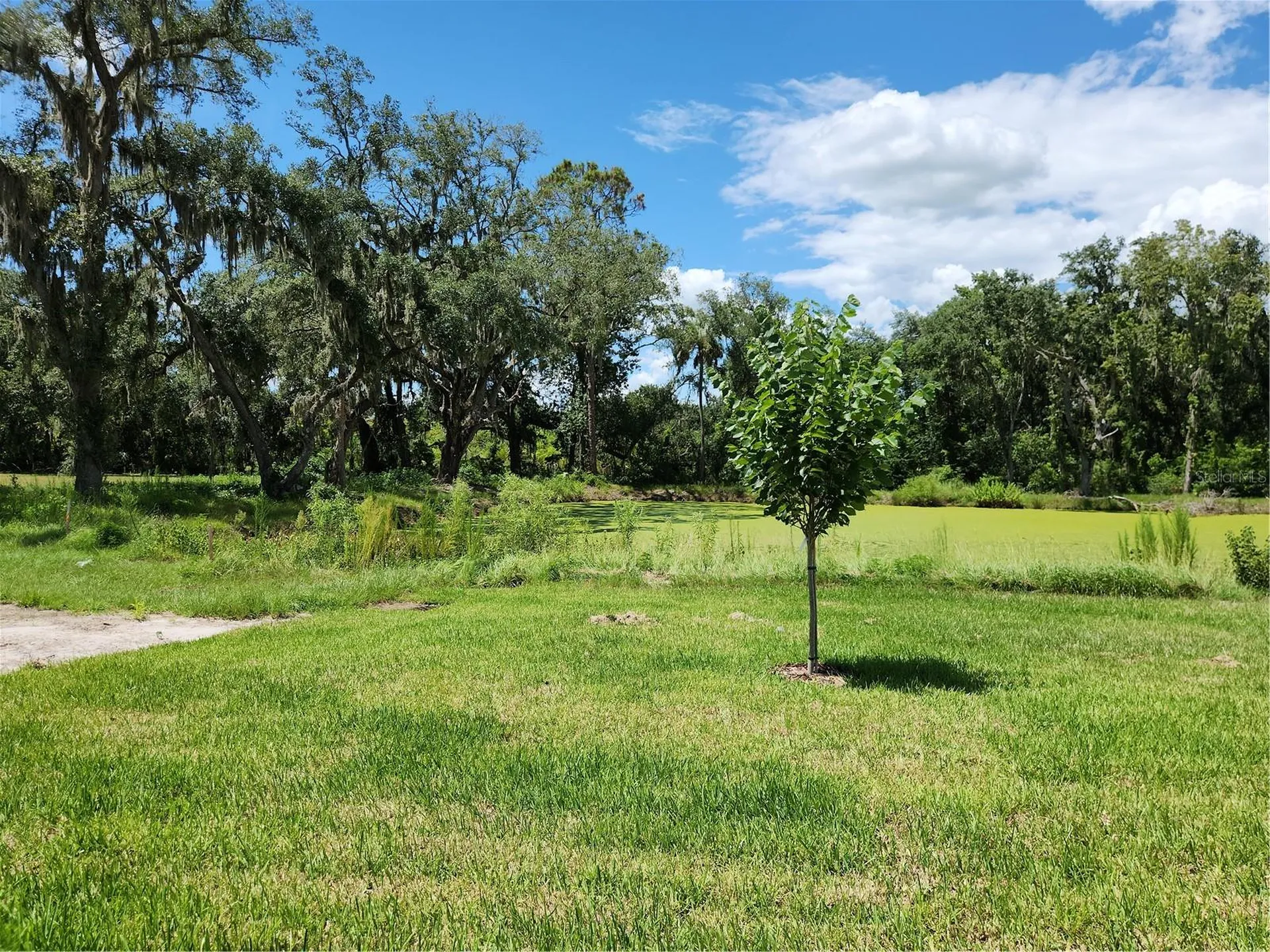 422 Shannon Estates Court Plant City FL 33563