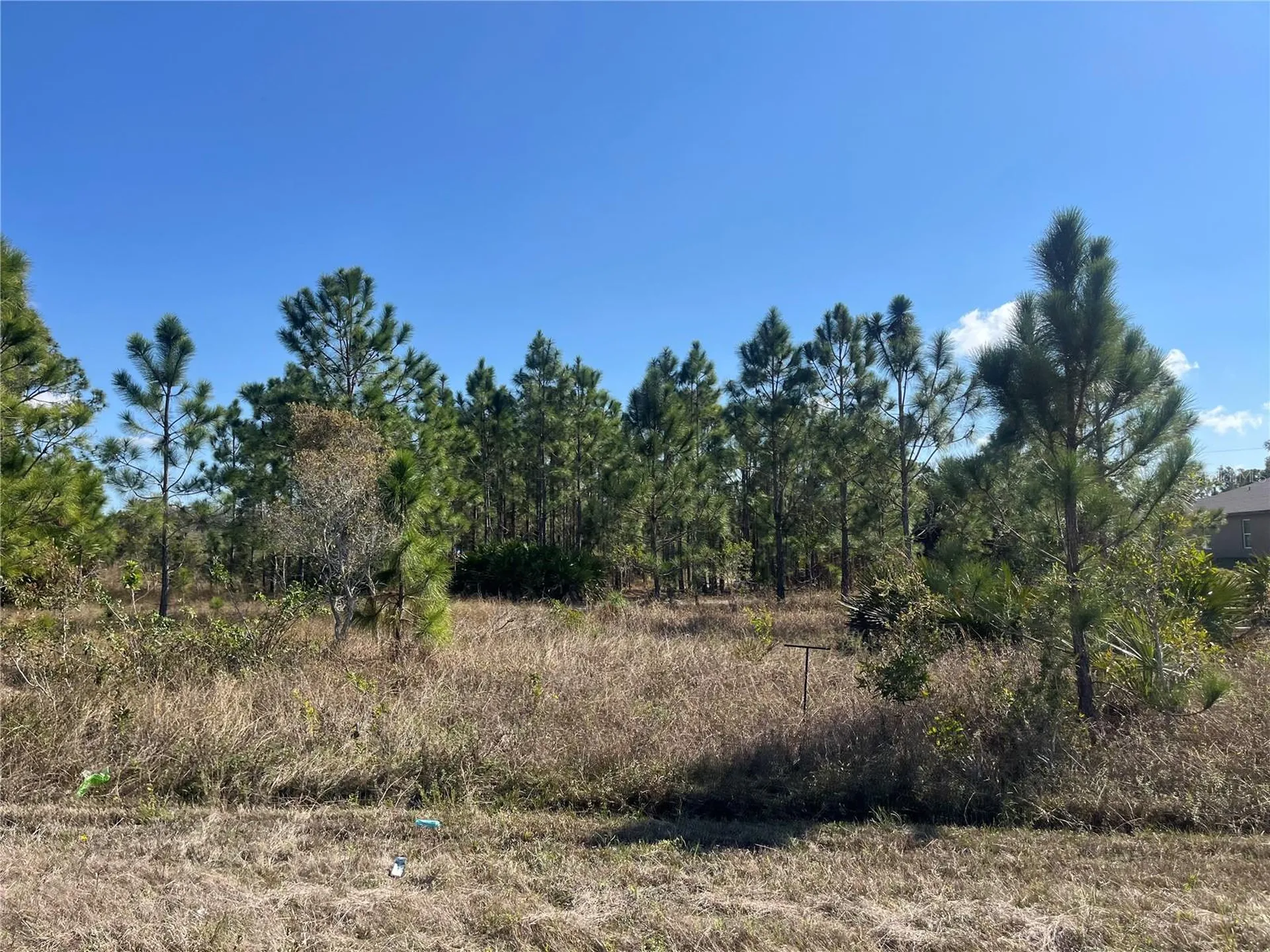 1247 Brunell Avenue Fort Myers FL 33913