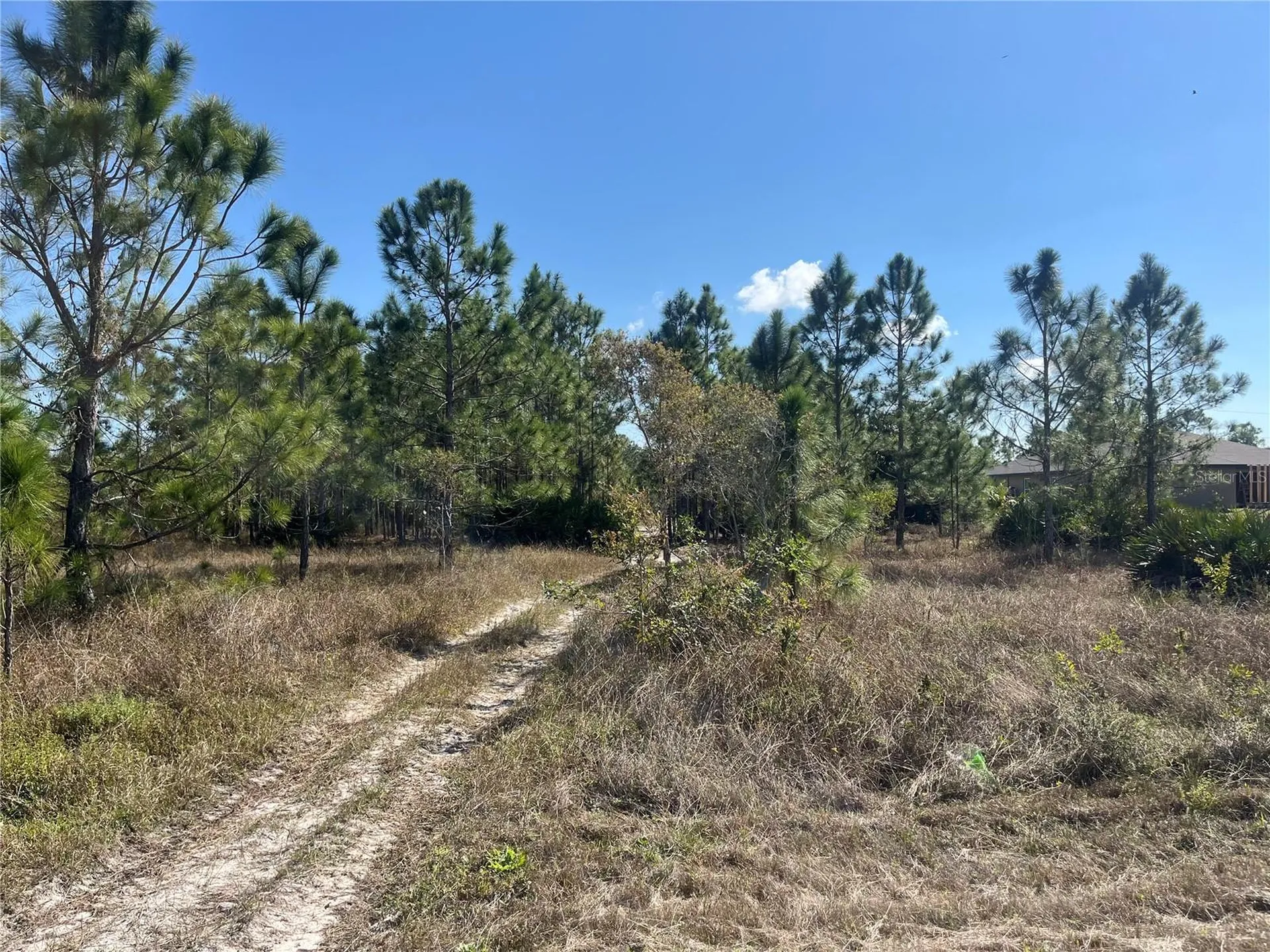 1247 Brunell Avenue Fort Myers FL 33913