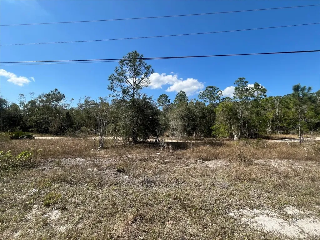 494 Burrstone Drive Lehigh Acres FL 33974