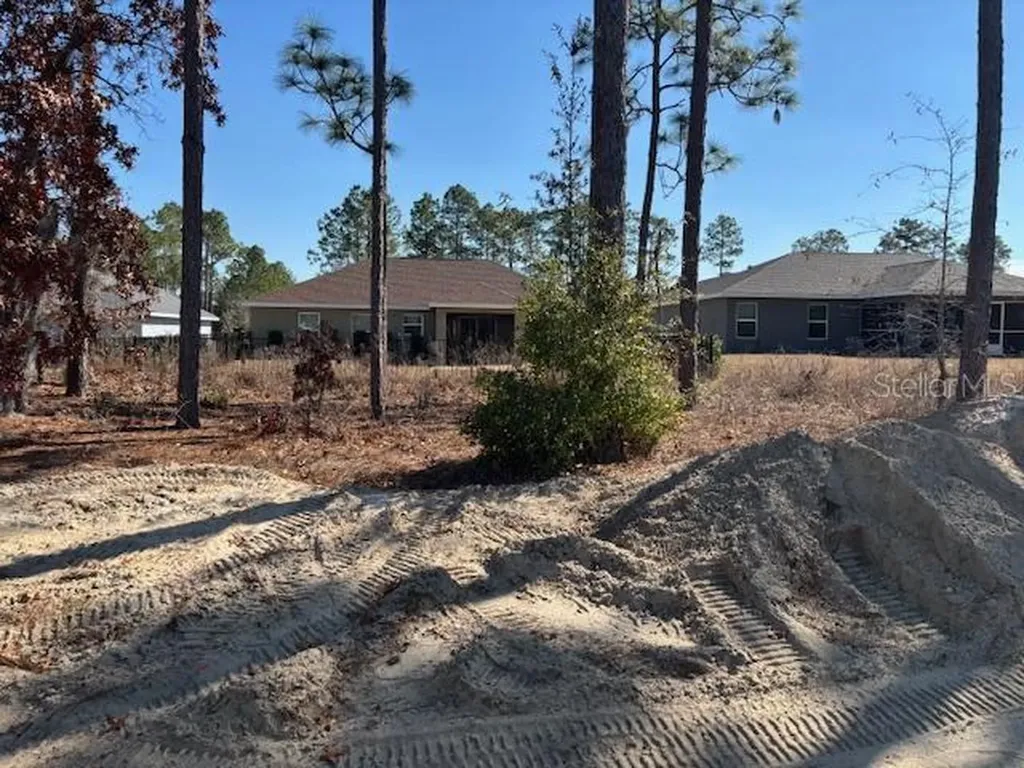 7685 SW 180th Circle Dunnellon FL 34432