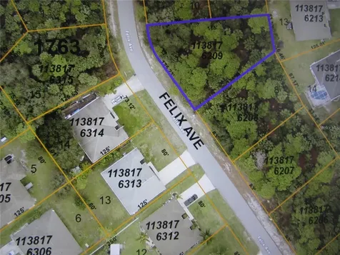 Felix Avenue North Port FL 34288