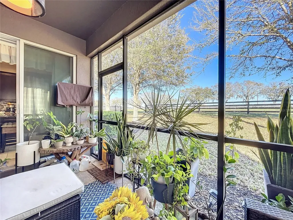 22004 Belgian Court Mount Dora FL 32757