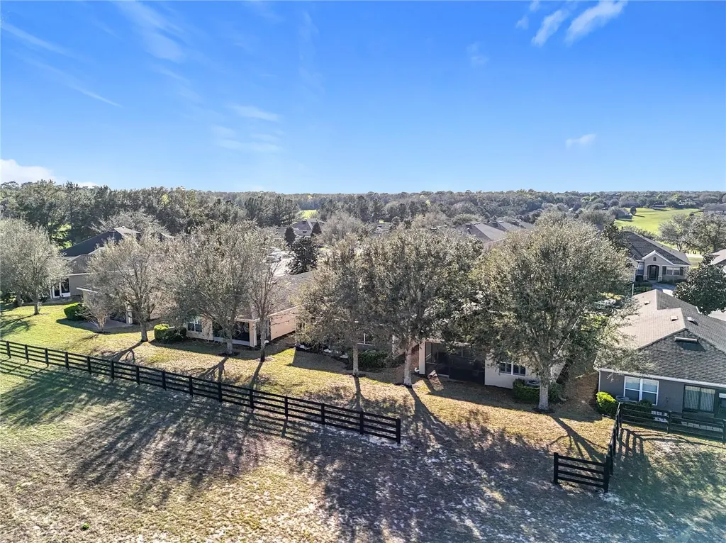 22004 Belgian Court Mount Dora FL 32757