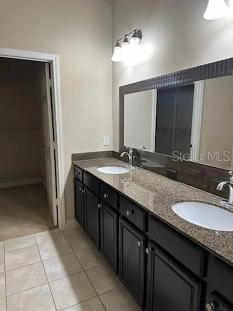 22004 Belgian Court Mount Dora FL 32757