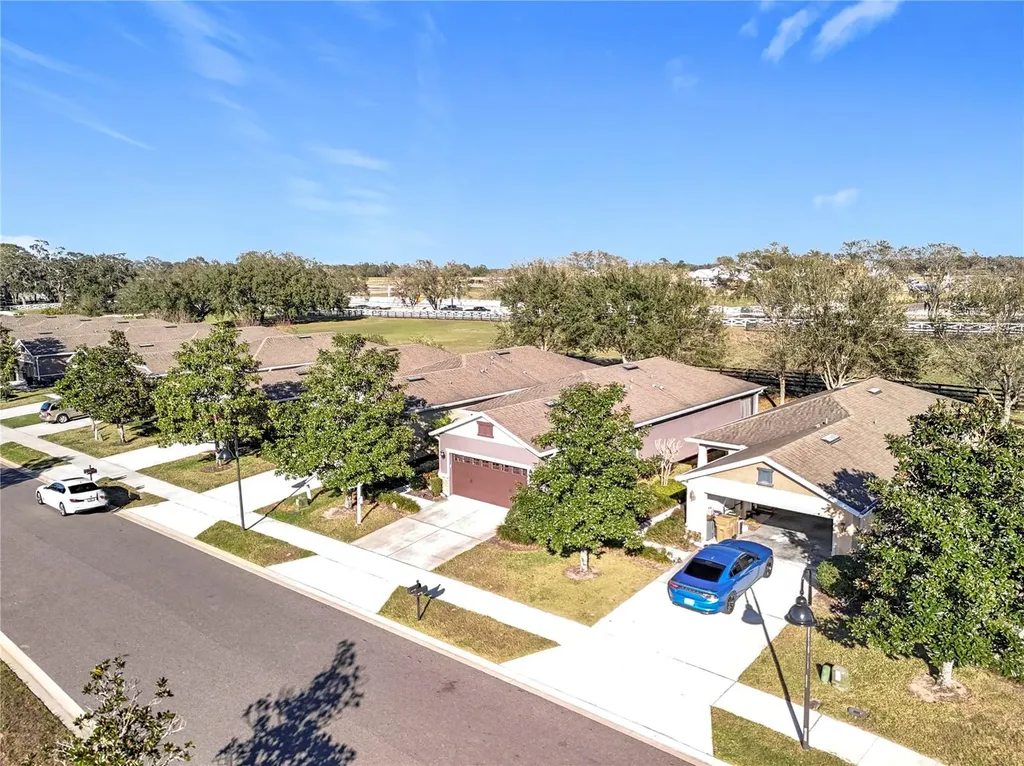 22004 Belgian Court Mount Dora FL 32757