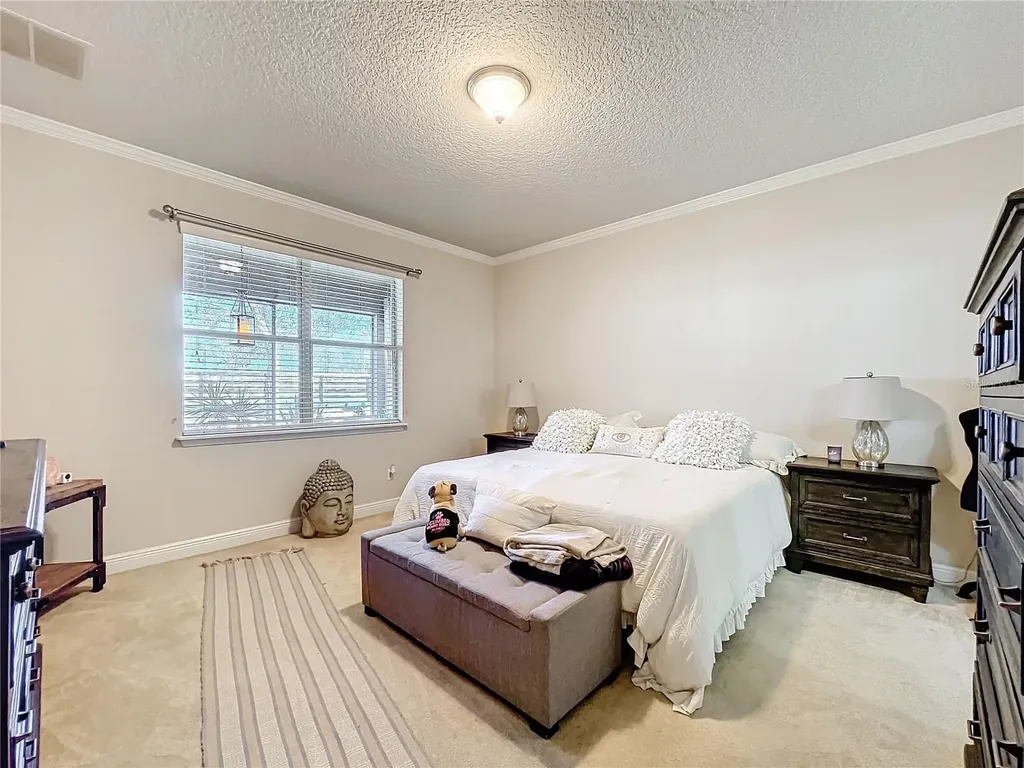 22004 Belgian Court Mount Dora FL 32757