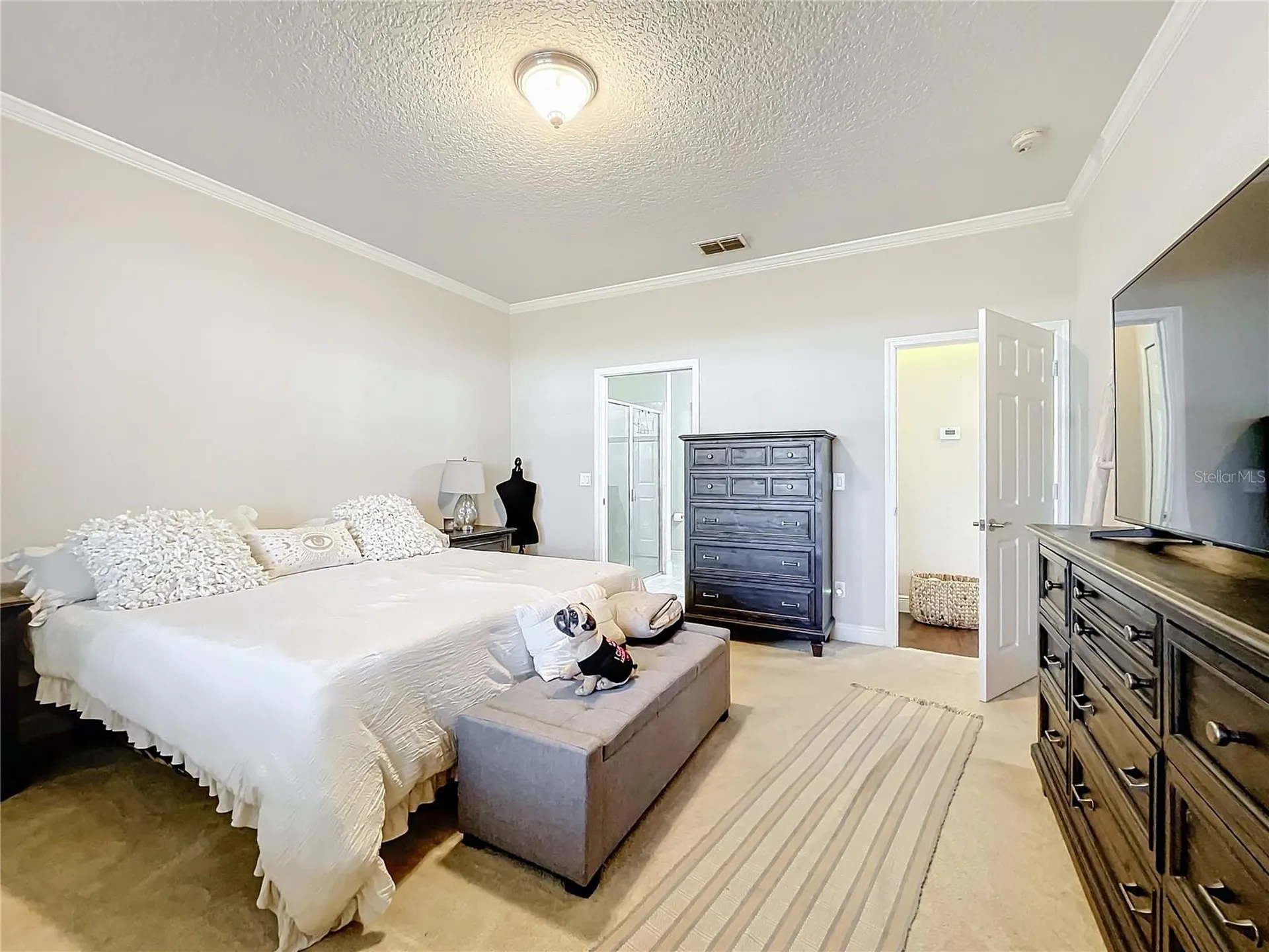 22004 Belgian Court Mount Dora FL 32757