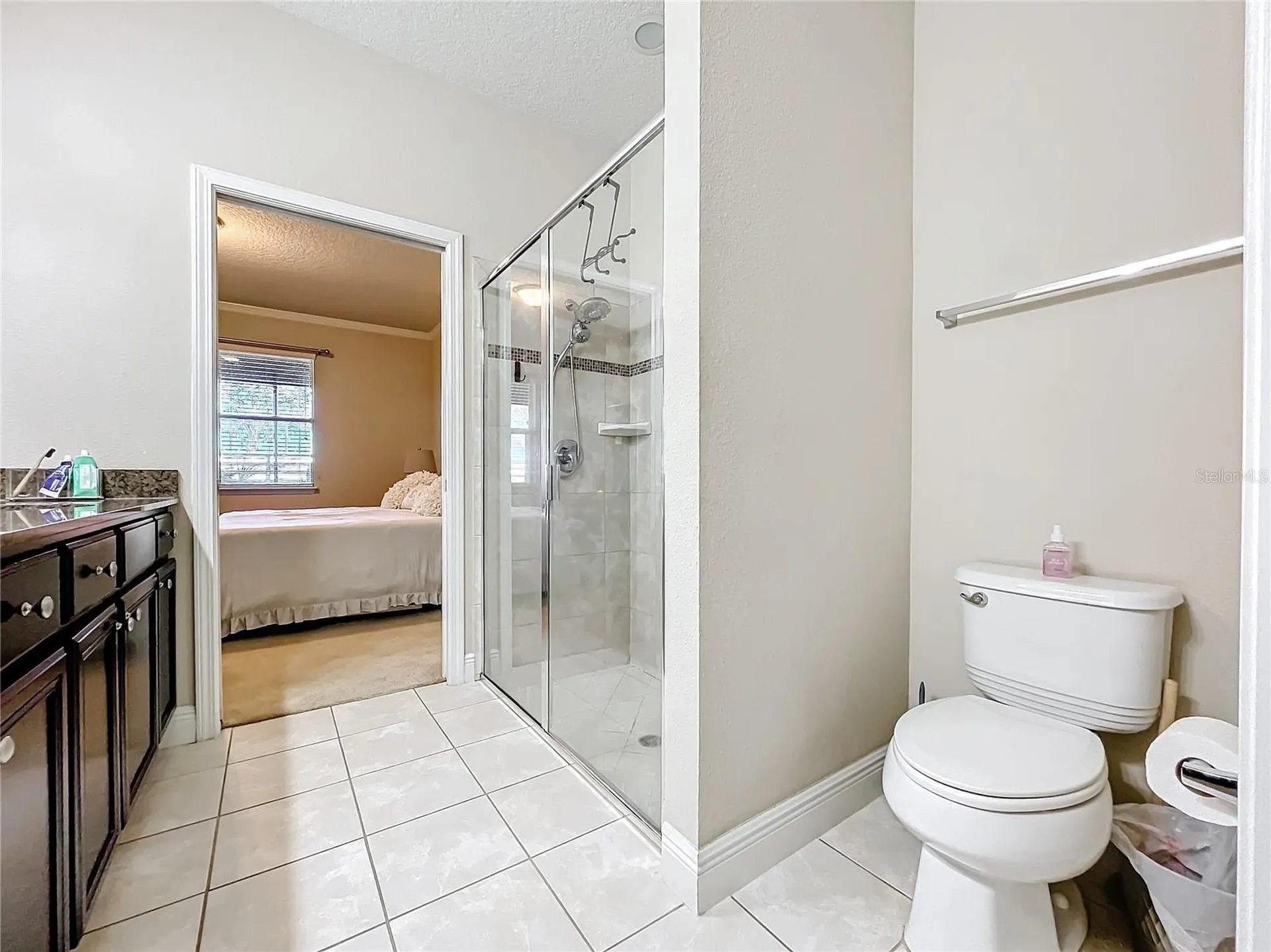 22004 Belgian Court Mount Dora FL 32757