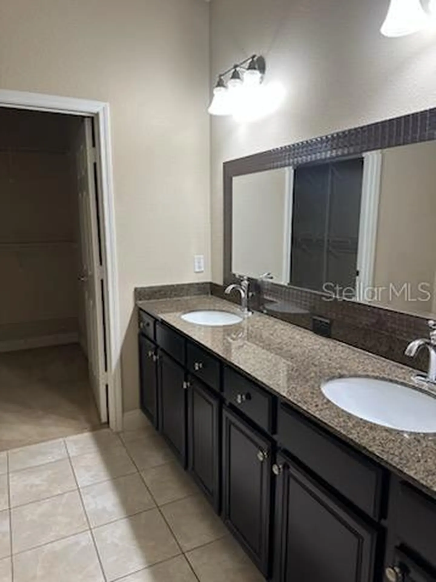 22004 Belgian Court Mount Dora FL 32757