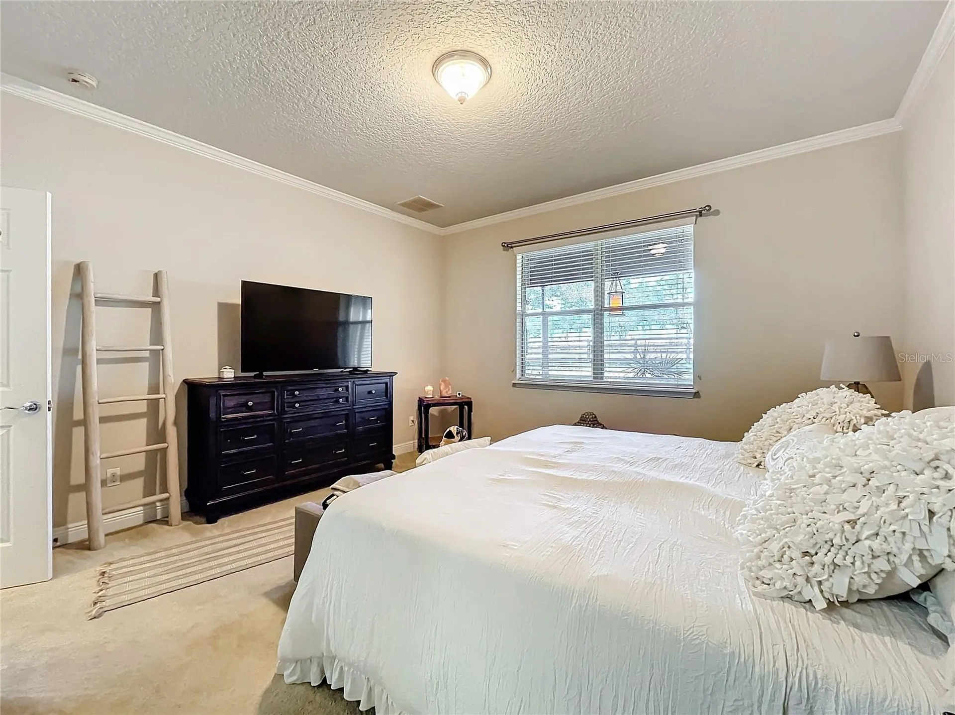 22004 Belgian Court Mount Dora FL 32757