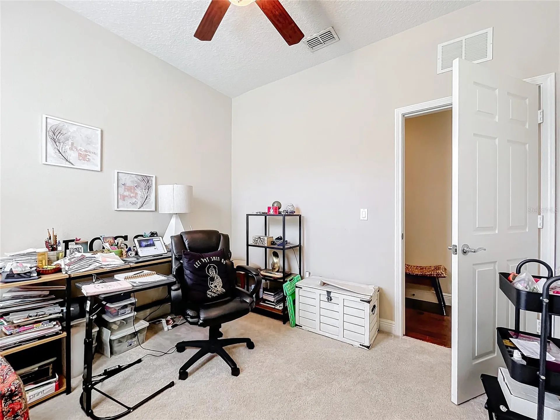 22004 Belgian Court Mount Dora FL 32757