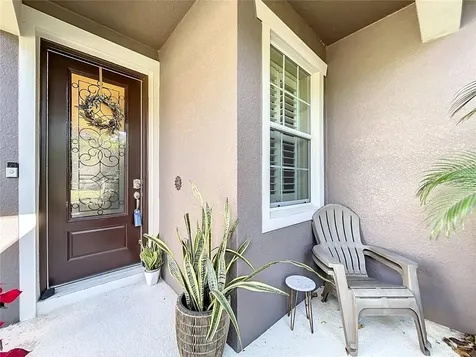 22004 Belgian Court Mount Dora FL 32757