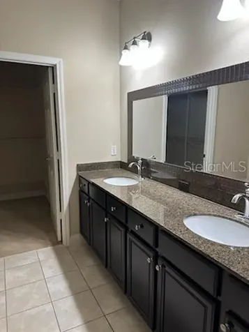22004 Belgian Court Mount Dora FL 32757