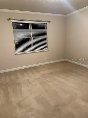 22004 Belgian Court Mount Dora FL 32757