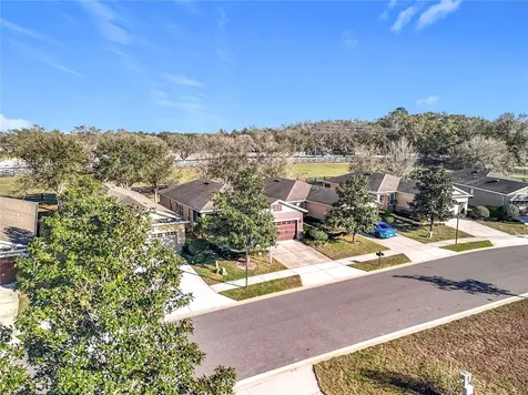 22004 Belgian Court Mount Dora FL 32757