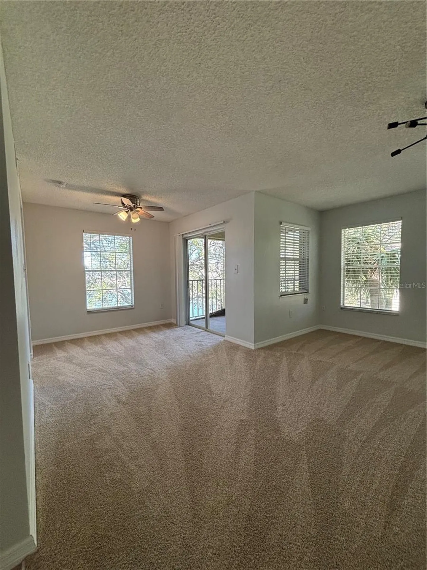 2690 Coral Landings Boulevard Palm Harbor FL 34684
