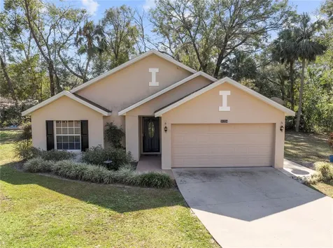 31234 Chevy Chase Drive Sorrento FL 32776