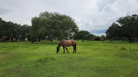 253 Saddle Lane River Ranch FL 33867