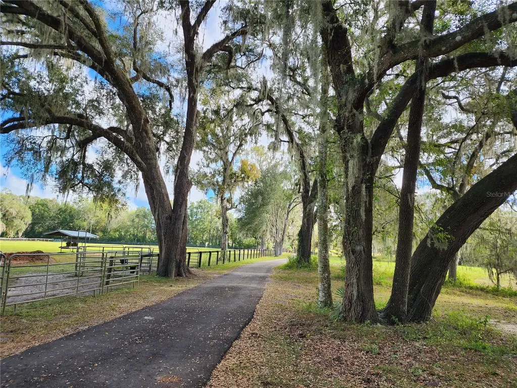 7670 NW 137th Avenue Morriston FL 32668