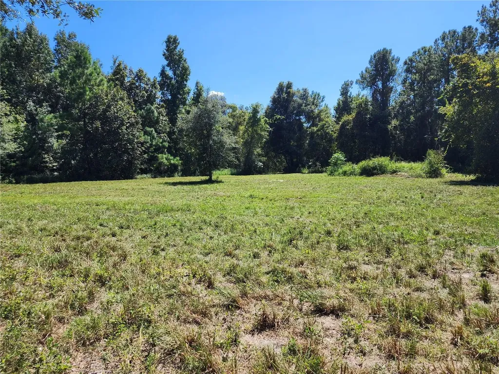 7670 NW 137th Avenue Morriston FL 32668