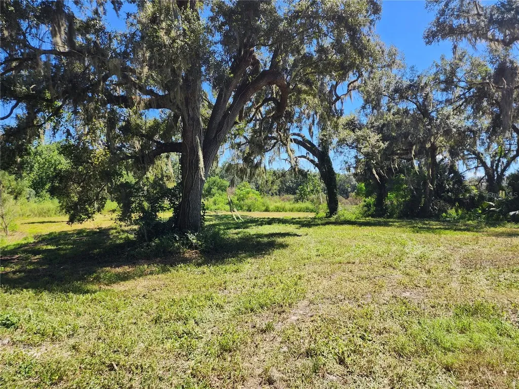 7670 NW 137th Avenue Morriston FL 32668