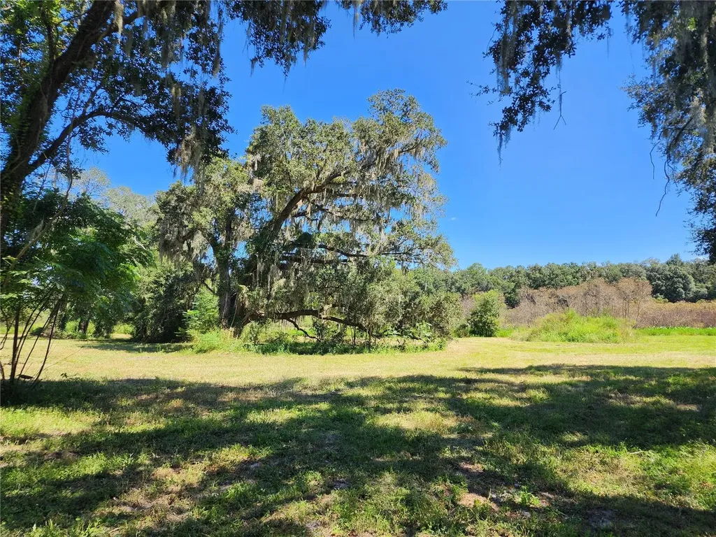 7670 NW 137th Avenue Morriston FL 32668
