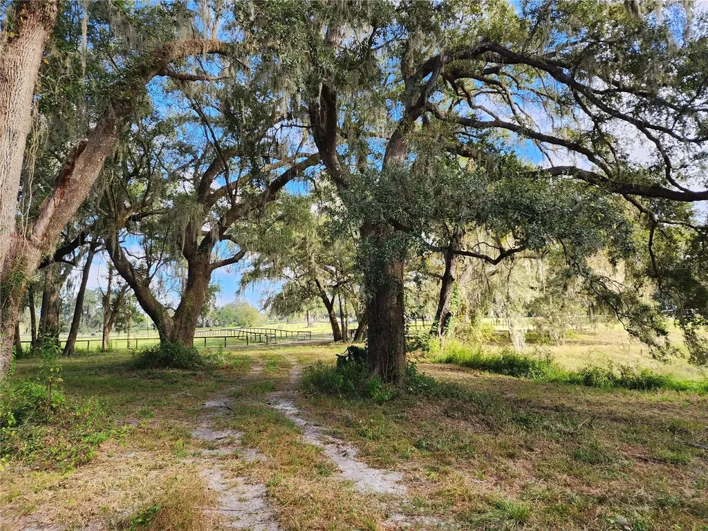 7670 NW 137th Avenue Morriston FL 32668