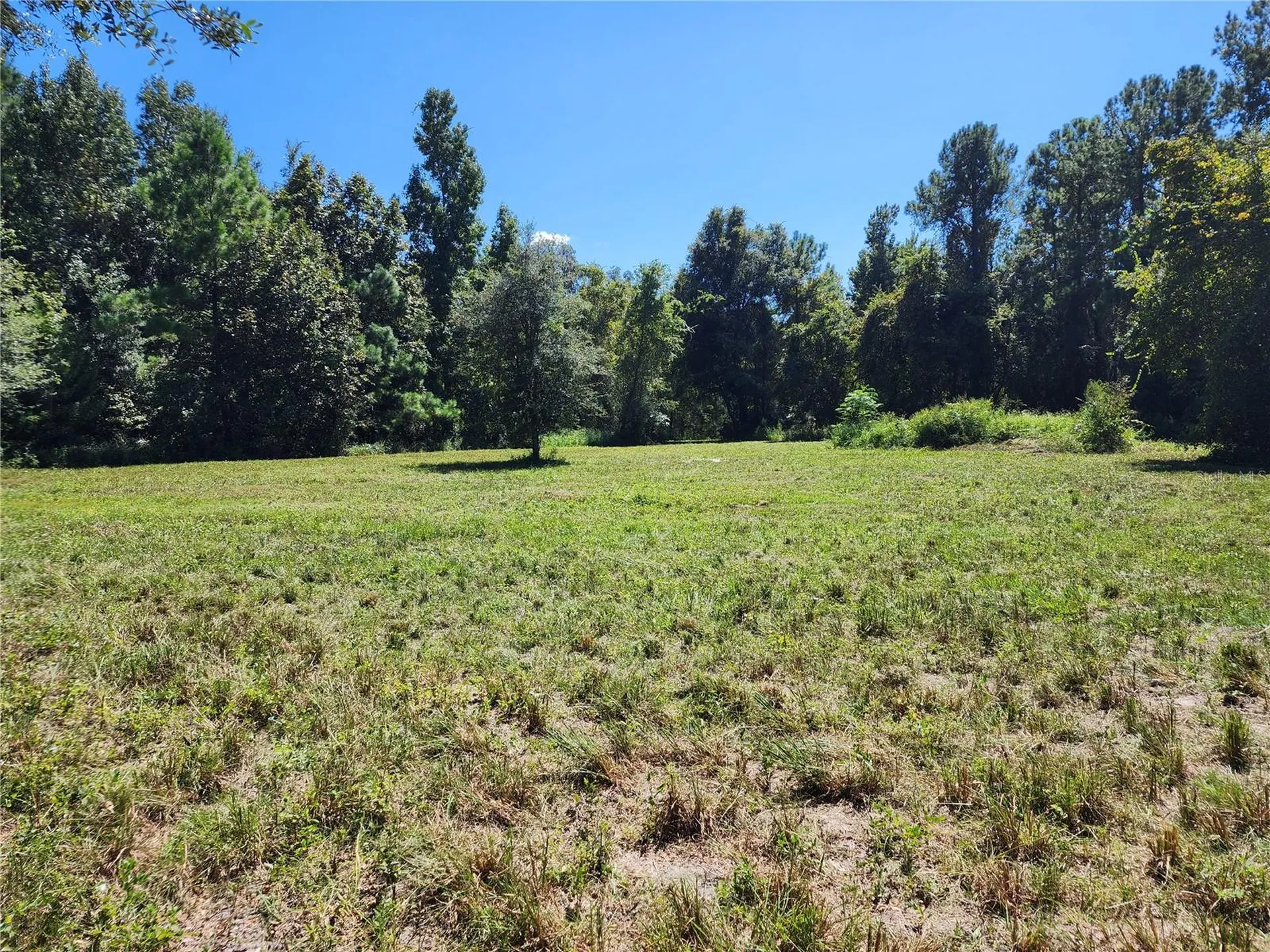 7670 NW 137th Avenue Morriston FL 32668