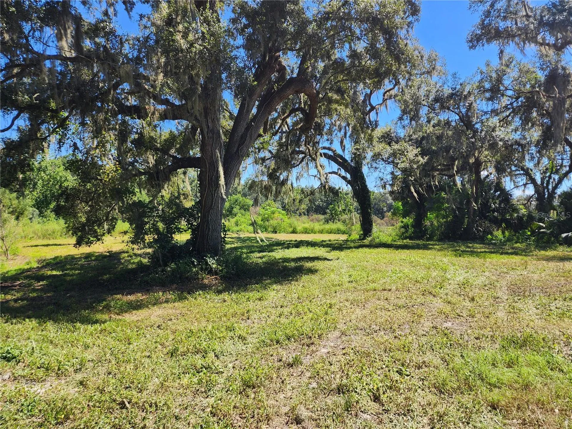 7670 NW 137th Avenue Morriston FL 32668