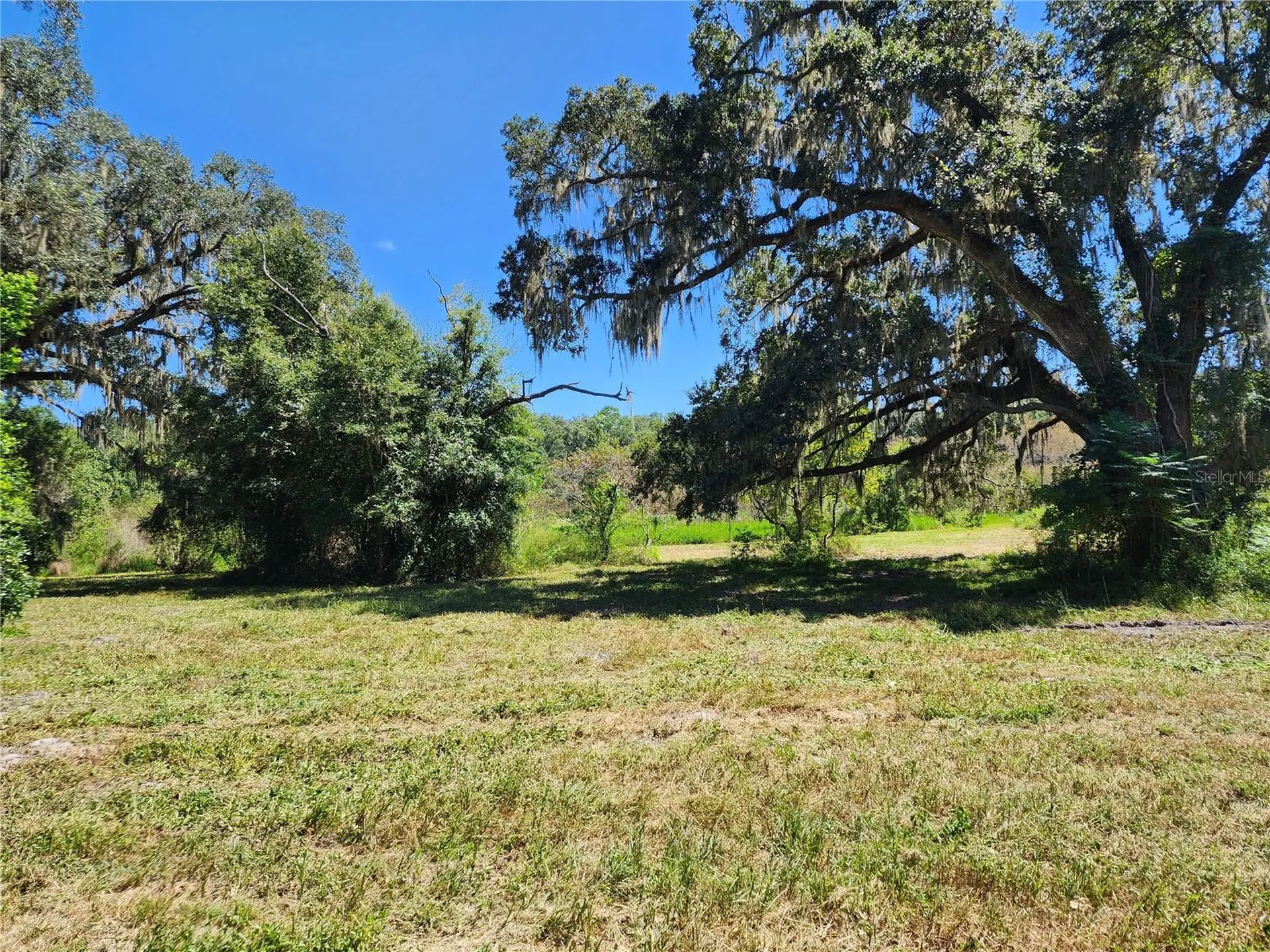 7670 NW 137th Avenue Morriston FL 32668