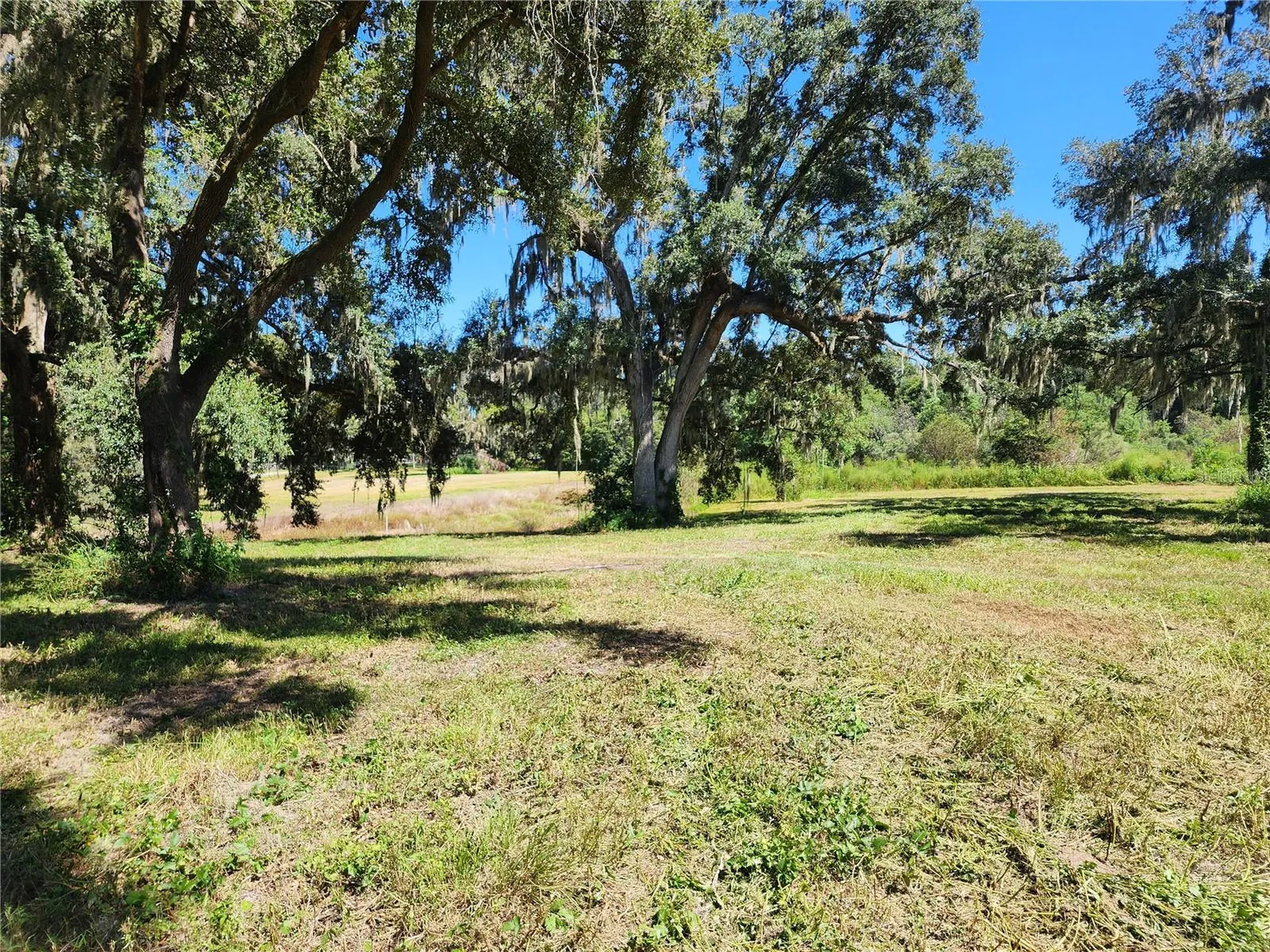 7670 NW 137th Avenue Morriston FL 32668