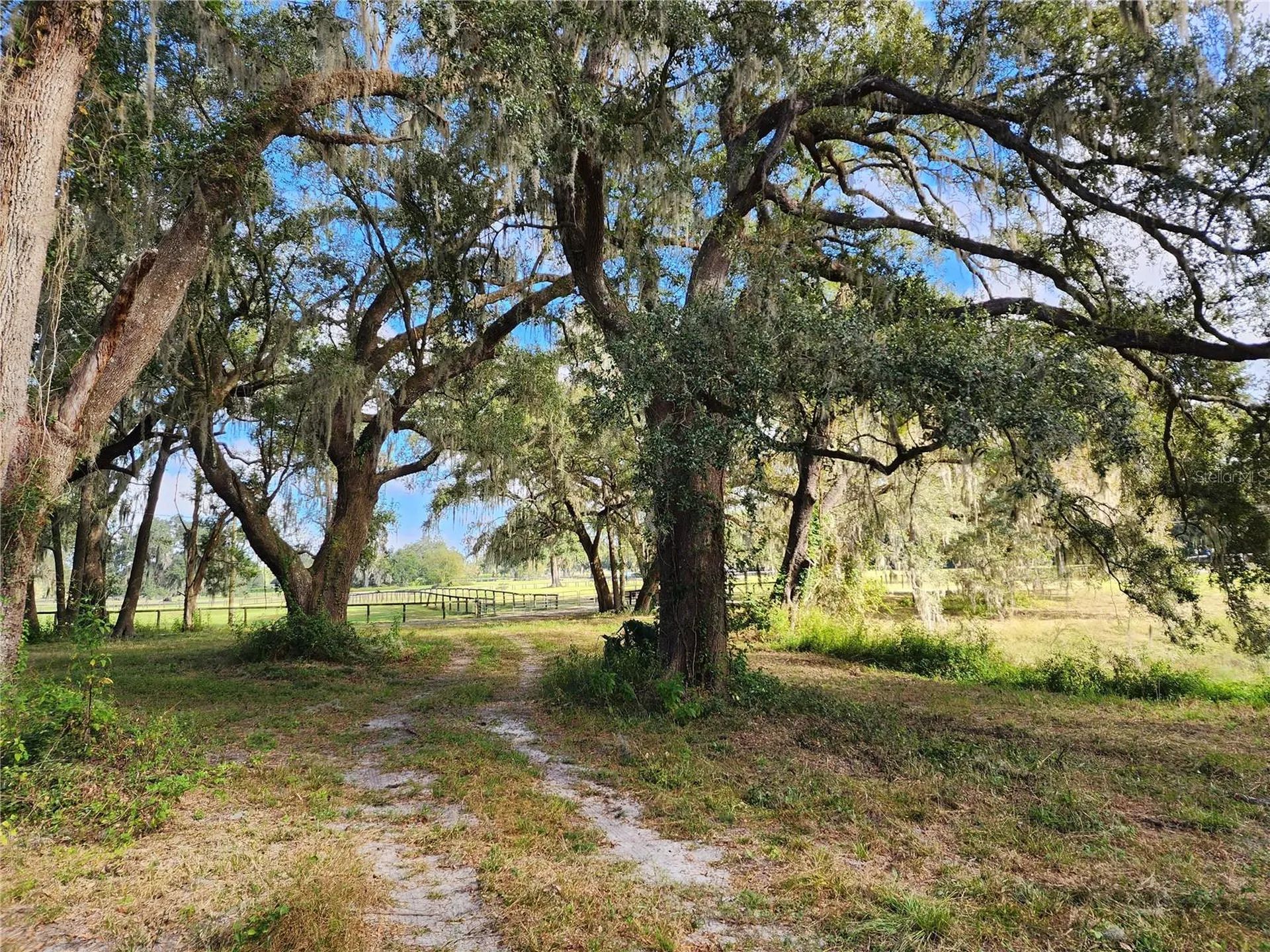 7670 NW 137th Avenue Morriston FL 32668