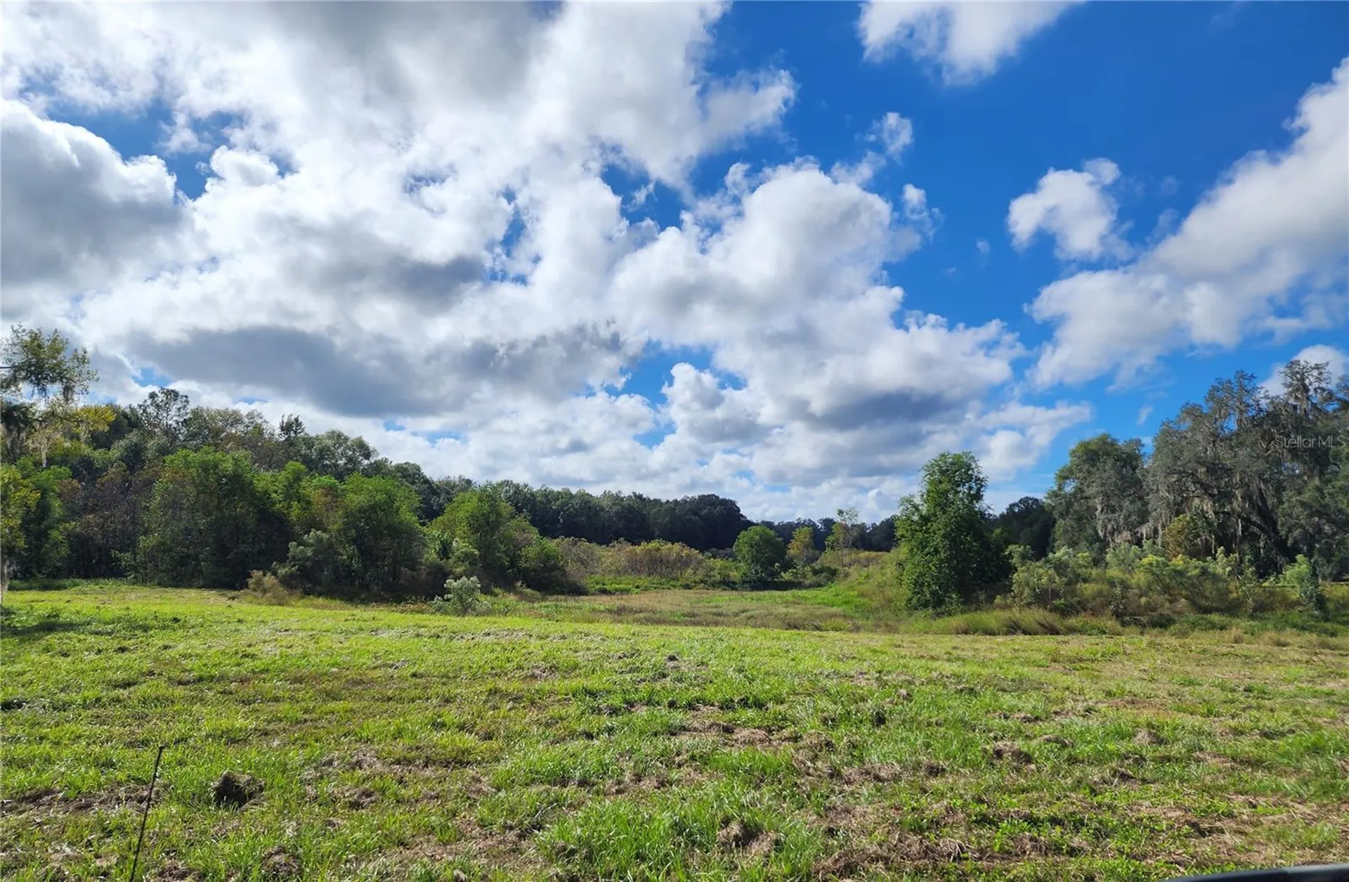 7670 NW 137th Avenue Morriston FL 32668